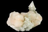 Peach Stilbite Clusters on Chalcedony - India #168975-1